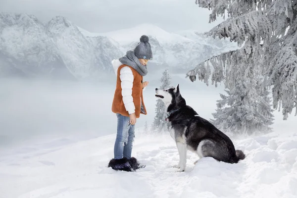 Sevimli küçük sarışın kız bir köpek Husky ile karda oynarken