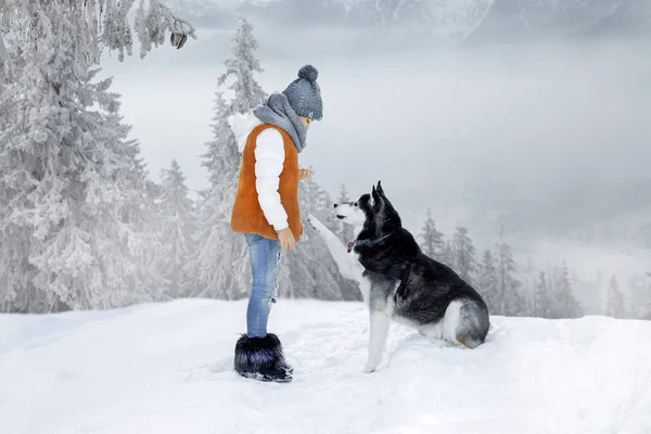 Sevimli küçük sarışın kız bir köpek Husky ile karda oynarken