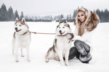 Mutlu genç bir kadın kışın Sibirya köpekleri ile oynuyor. Kışın açık havada köpekli genç bir kadın.