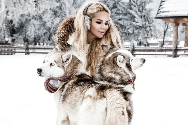 Mujer Joven Feliz Jugando Con Perros Husky Siberianos Día Invierno — Foto de Stock