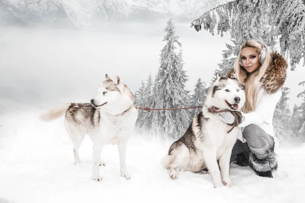 Hermosa mujer rubia, de pie sobre la nieve y sosteniendo perros Husky . — Foto de Stock