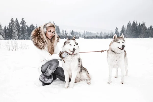 Счастливая Молодая Женщина Играющая Собаками Сибирского Хаски Зимний День — стоковое фото