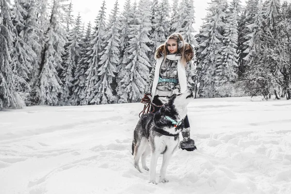 Boldog Fiatal Játszik Szibériai Husky Kutyák Télen Nap Vonzó Fiatal — Stock Fotó