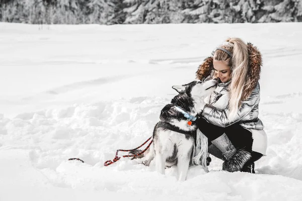 Счастливая Молодая Женщина Играющая Собаками Сибирского Хаски Зимний День Удивительный — стоковое фото