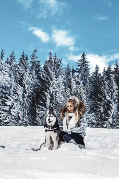 Bella donna bionda, in piedi sulla neve e in possesso di cani Husky . — Foto Stock