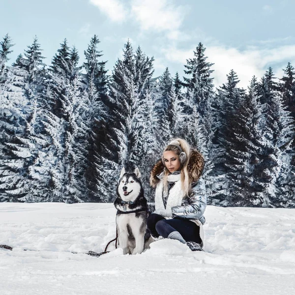 Piękna blondynka, stojąca na śniegu i trzymająca psy Husky 'ego. — Zdjęcie stockowe