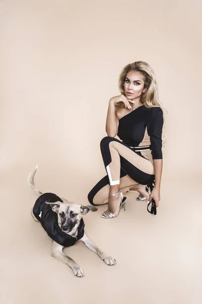 スタジオで犬と美しいファッションモデル エレガントなジャンプスーツとハイヒールの靴で美しい女性 春のファッションスタイル ファッショナブルな衣装でかわいい犬と一緒にポーズをとる幸せなエレガントなモデル — ストック写真