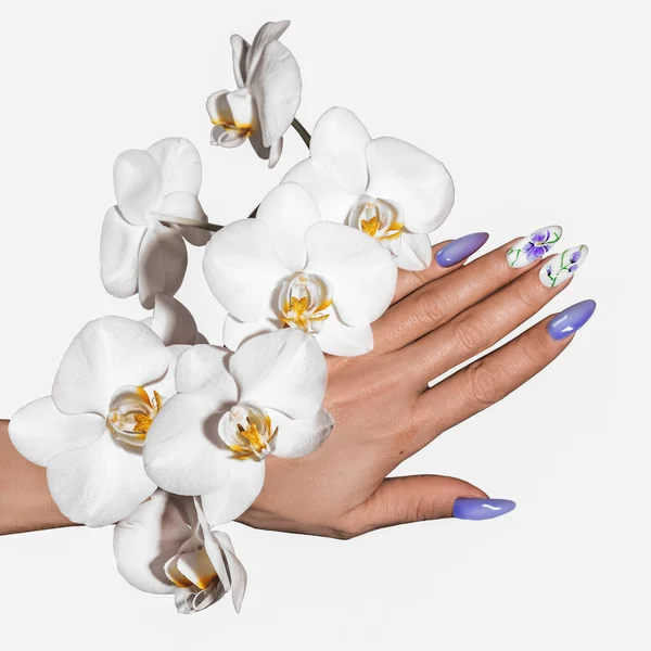 Belos Pregos Manicure Maquiagem Cosméticos Orquídea — Fotografia de Stock
