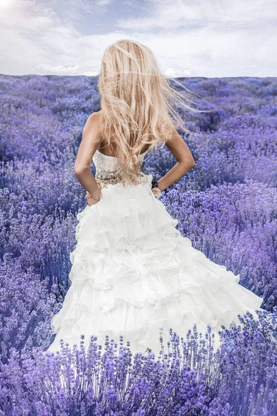 Vacker Brud Bröllopsdagen Lavendelfält Nygift Kvinna Lavendelblommor Ung Kvinna Brudklänning — Stockfoto