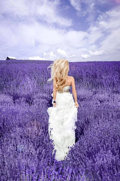 Bella Sposa Nel Giorno Del Matrimonio Campo Lavanda Donna Appena — Foto Stock