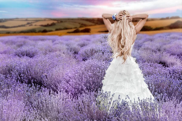 Beautiful Bride Wedding Day Lavender Field Newlywed Woman Lavender Flowers — Stock Photo, Image