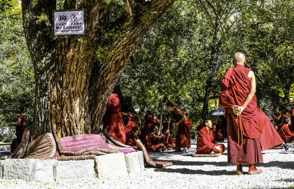 Buddhistische Mönche Tibet China — Stockfoto