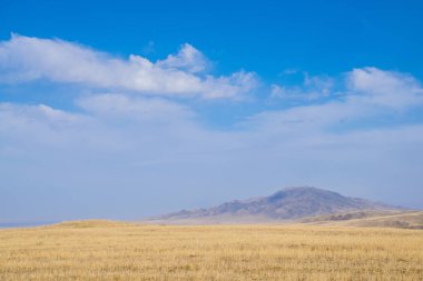 Taldykorgan, Kazakistan 'da Göçebe Oyunları
