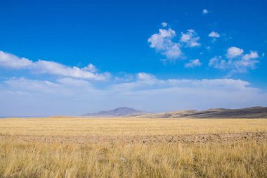 Taldykorgan, Kazakistan 'da Göçebe Oyunları