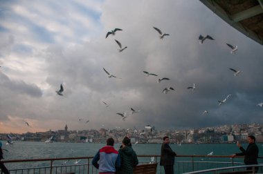 Bulutlu arka planda, denizin üzerinde uçan martıların görüntüsü 