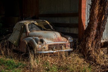 Kosciuszko Ulusal Parkı, Avustralya