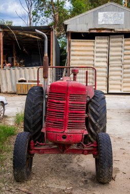 Kosciuszko Ulusal Parkı, Avustralya