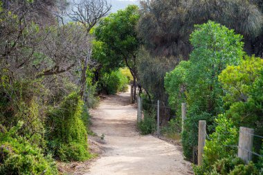 12 Havarili doğal manzara, Avustralya, seyahat kavramı