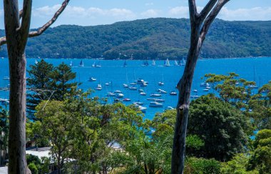 Avustralya 'ya seyahat, tatil konsepti 