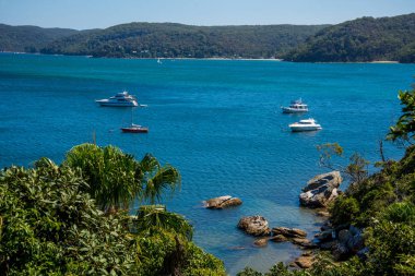 Gündüz vakti açık mavi suyla Sydney yakınlarındaki deniz manzarası. 