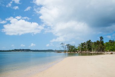 Ballina, Avustralya 'nın doğal güzelliği, seyahat kavramı
