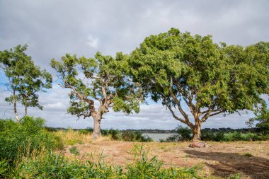 Grampians Ulusal Parkı 'ndan gündüz yolculuk, seyahat konsepti 