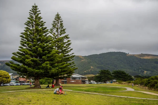 Paysage Naturel Avec Douze Apôtres Australie Concept Voyage — Photo