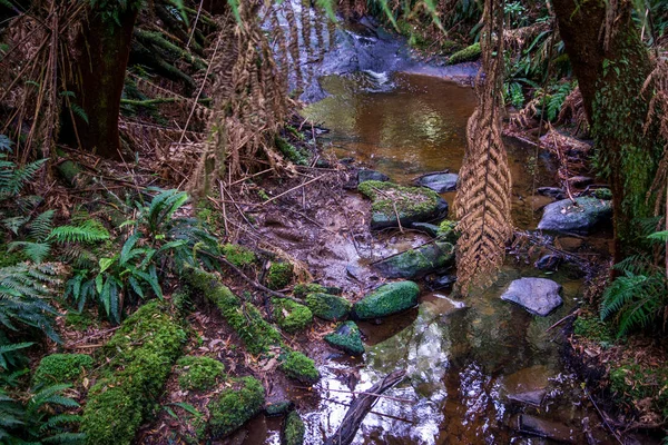 Paesaggio Naturale Con Dodici Apostoli Australia Concetto Viaggio — Foto Stock