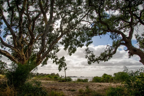 Voyager Parc National Des Grampians Pendant Journée Concept Voyage — Photo