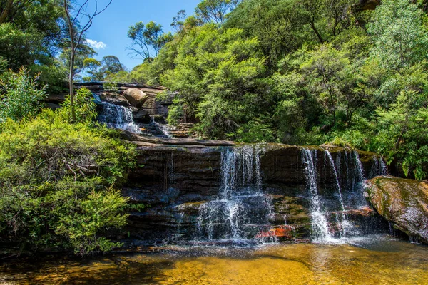 Cestování Národním Parku Blue Mountains Austrálie — Stock fotografie