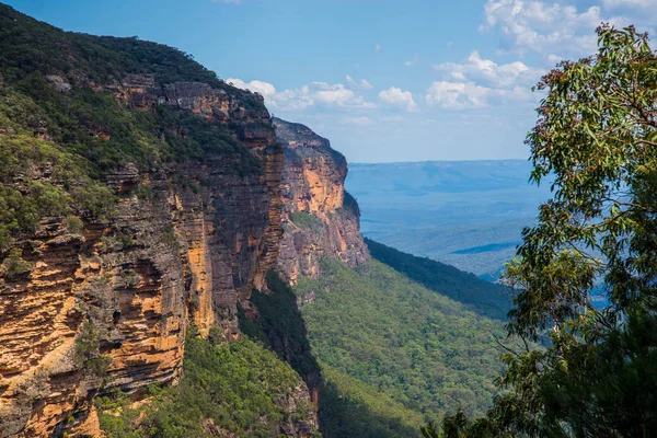 Viajando Pelo Parque Nacional Blue Mountains Austrália — Fotografia de Stock