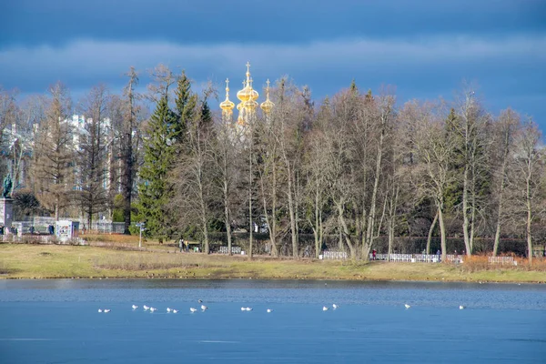 Widok Pustelnię Pawilonu Catherine Park Carskie Selo Rosja — Zdjęcie stockowe