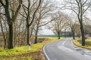 Gündüz vakti parktaki yol manzarası