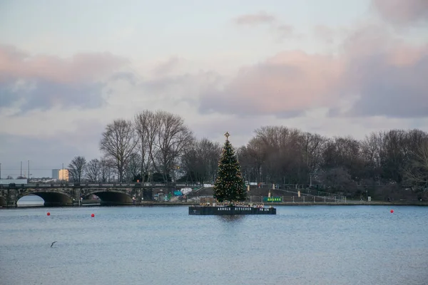 Kerstboom Het Perron Bij Rivier — Stockfoto