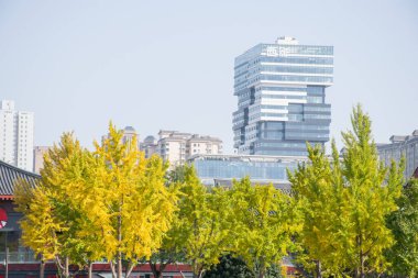 Xian, Çin - Ekim 2019: Şehir merkezindeki modern bina. Tercümesi 