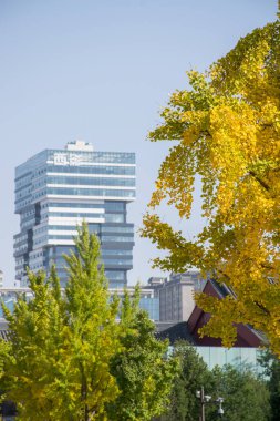 Xian, Çin - Ekim 2019: Şehir merkezindeki modern bina. Tercümesi 