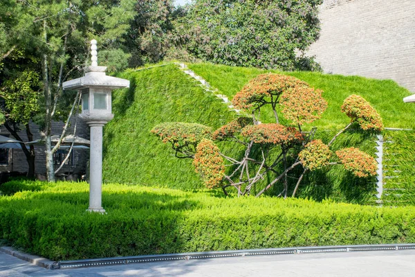 Bonsai Trädet Trädgården Nära Giant Wild Goose Pagoda Shaanxi Provinsen — Stockfoto