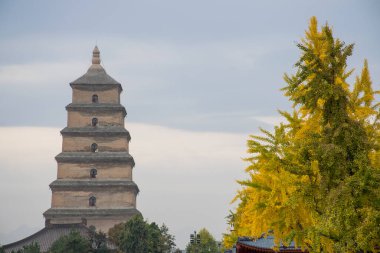 Xian, Çin - Ekim 2019: Xi 'an, Shaanxi, Çin' de Dev Vahşi Kaz Pagoda