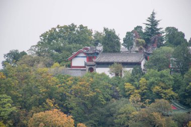 Şehir parkının güzel manzarası