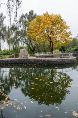 Sonbahar parkındaki tapınak.