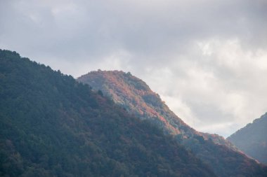 Sabahları bir dağ vadisi manzarası