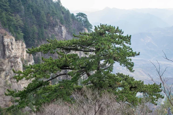 昼間は山や木が立ち並ぶ自然景観旅行のコンセプト — ストック写真
