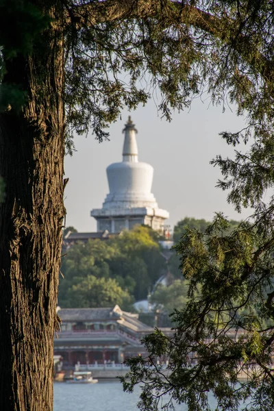 Tradiční Buddhistický Chrám Koncept Cestování — Stock fotografie