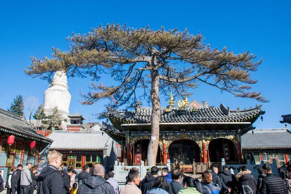 伝統的な仏教寺院旅行の概念 — ストック写真