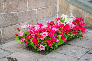 Bahçedeki güzel çiçekler