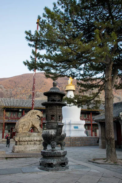 Traditionele Boeddhistische Tempel Reisconcept — Stockfoto
