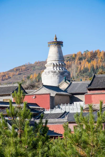 Hagyományos Buddhista Templom Utazási Koncepció — Stock Fotó