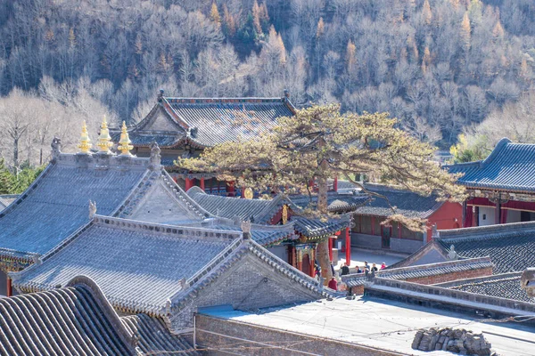 伝統的な仏教寺院旅行の概念 — ストック写真