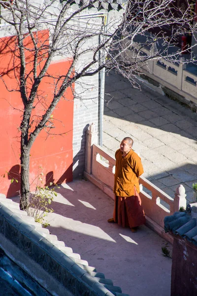 Mönch Traditionellen Buddhistischen Tempel Reisekonzept — Stockfoto