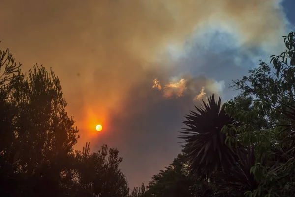 Australische bosbrand: bomen silhouetten en rook van bosbranden bedekt de hemel en gloeiende zon nauwelijks gezien door de rook. Catastrofaal brandgevaar, Nsw, Australië — Stockfoto